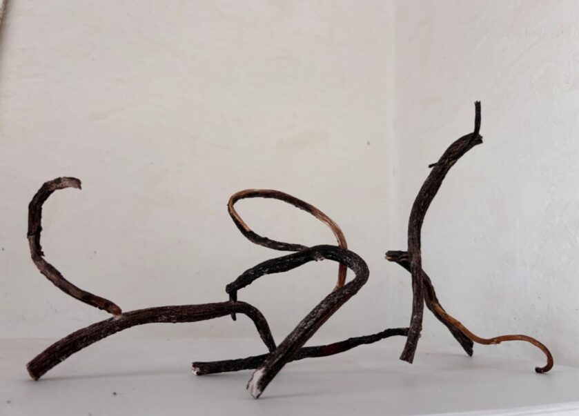 combining two small sculptures opens up a a wide range of opportunities to open up the spaces between them to explore the dynamic created