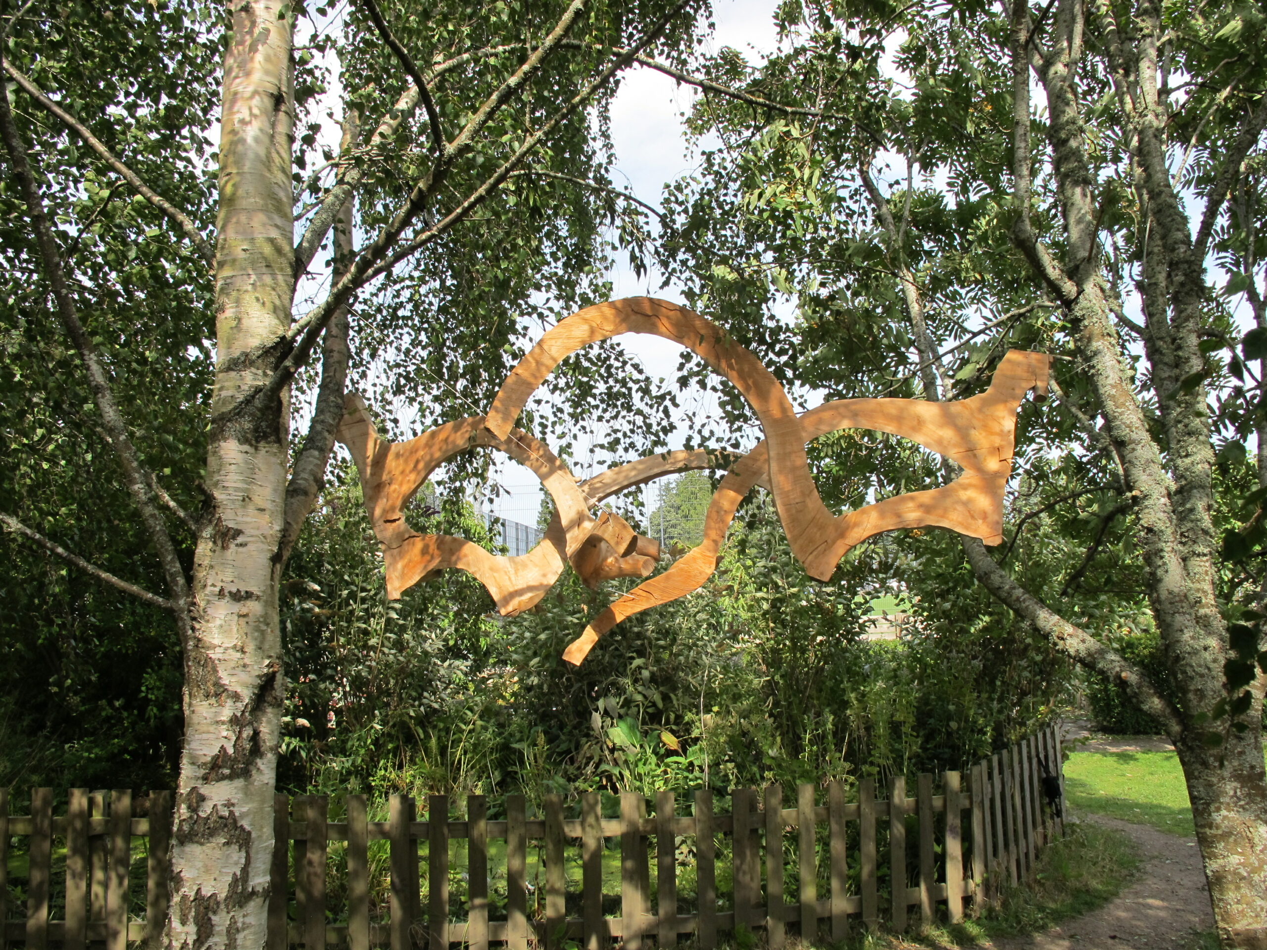 IMG_6448.JPG Leylandii limbs 1