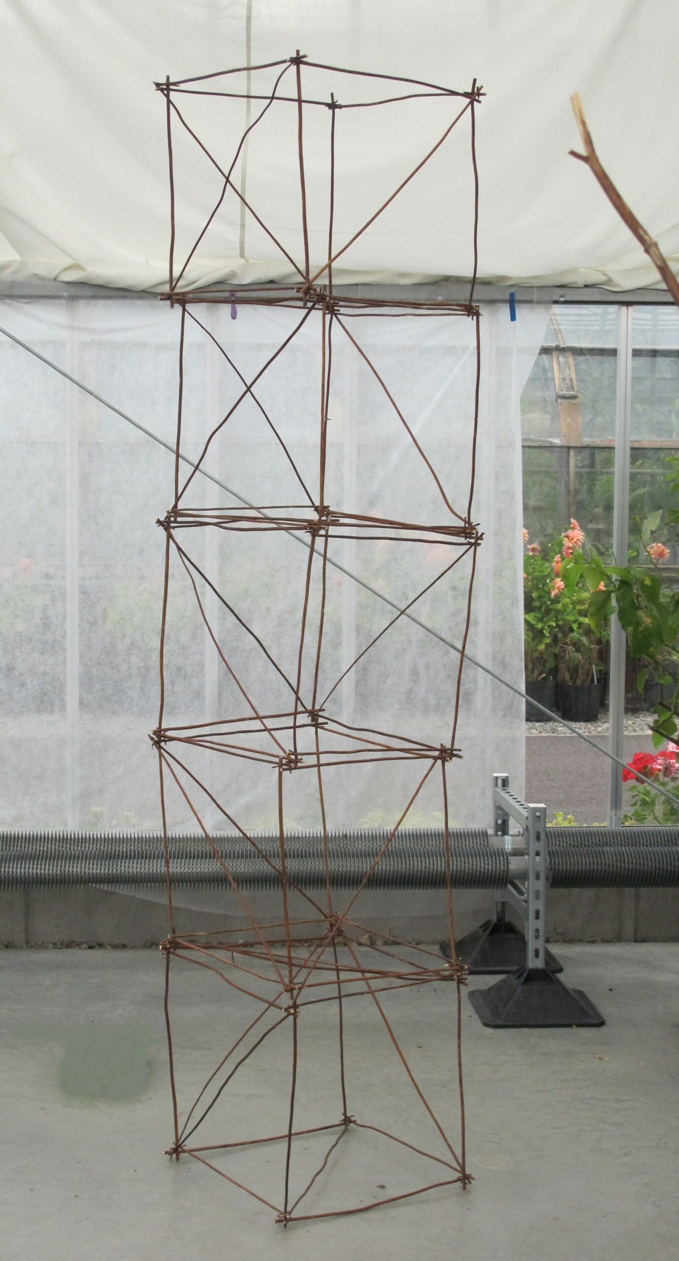 IMG_6598 - Copy.JPG TT in glass house